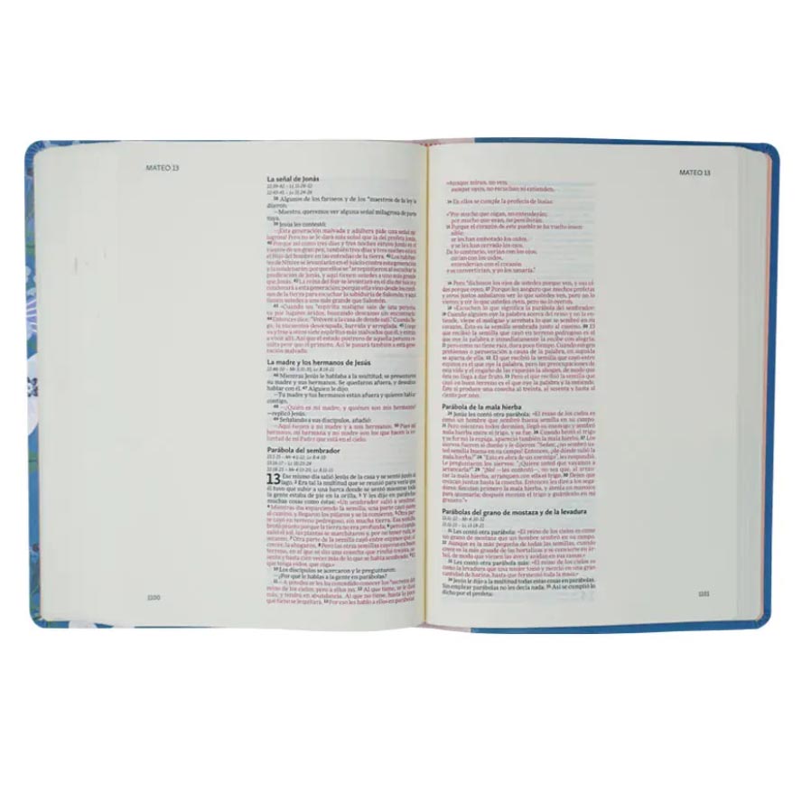 Biblia Ilustra tu Fe