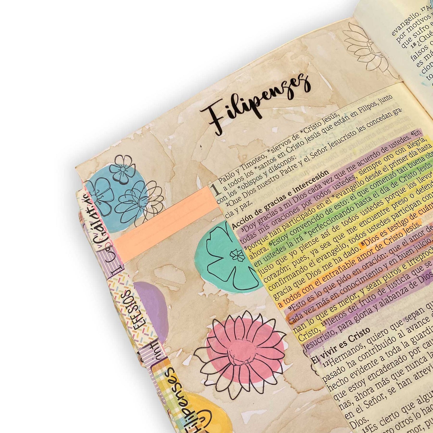 Libros de la Biblia