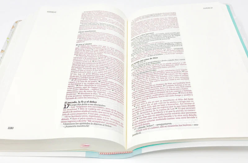 Biblia Ilustra tu Fe