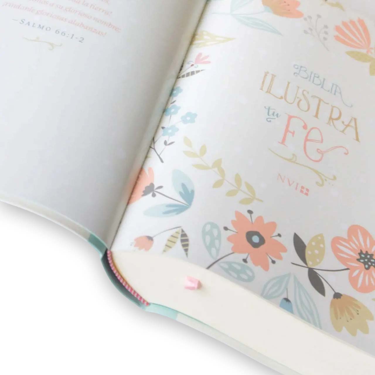 Biblia Ilustra tu Fe